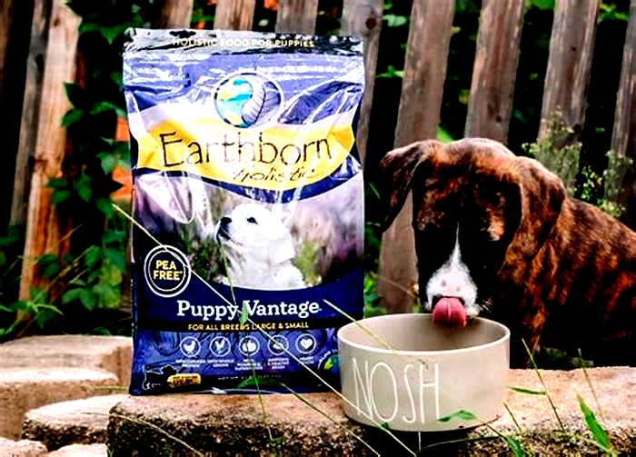 The Science Behind Holistic Puppy Food What Sets It Apart