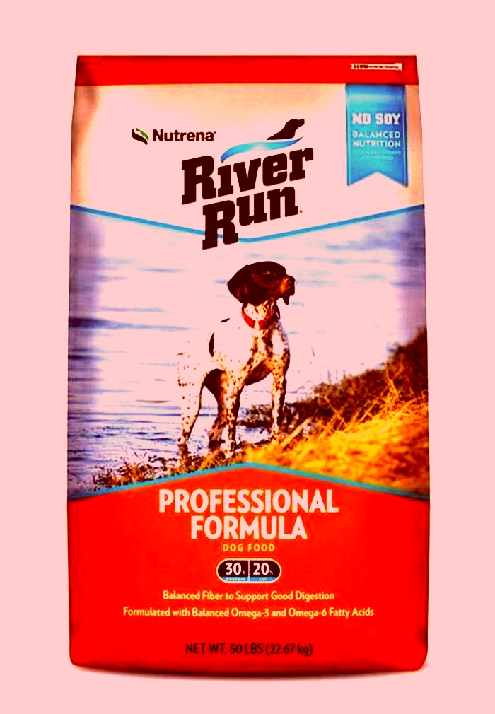 The Science of Complete Canine Nutrition Exploring River Run Dog Food