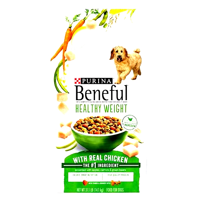 The Science of Top Breed Dog Food Fueling Happy Healthy Dogs