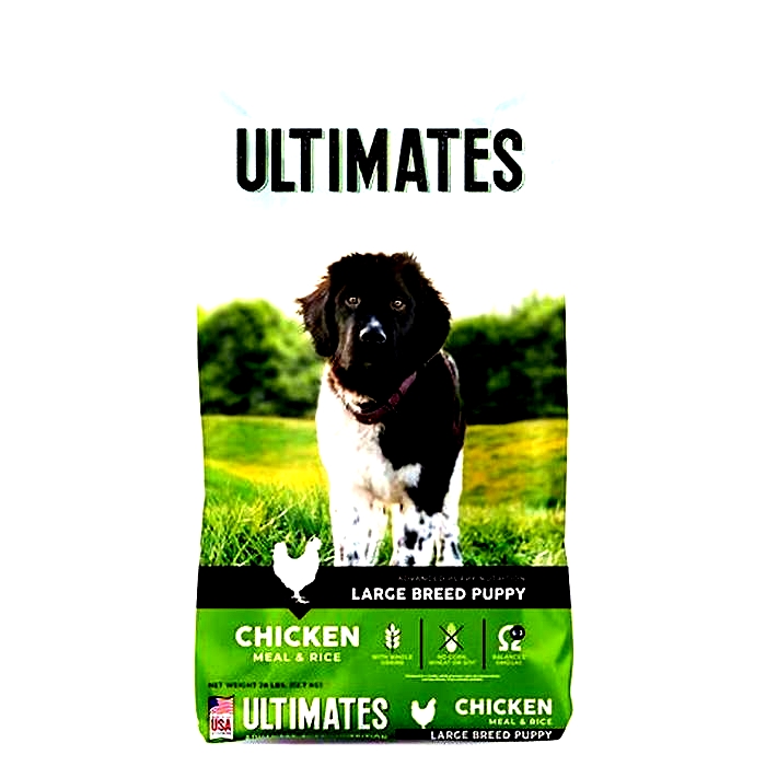 The Ultimate Dog Fuel: Unveiling the Magic of Top Breed Dog Food