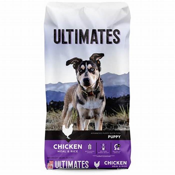 The Ultimate Dog Fuel Unveiling the Magic of True Meals Dog Food