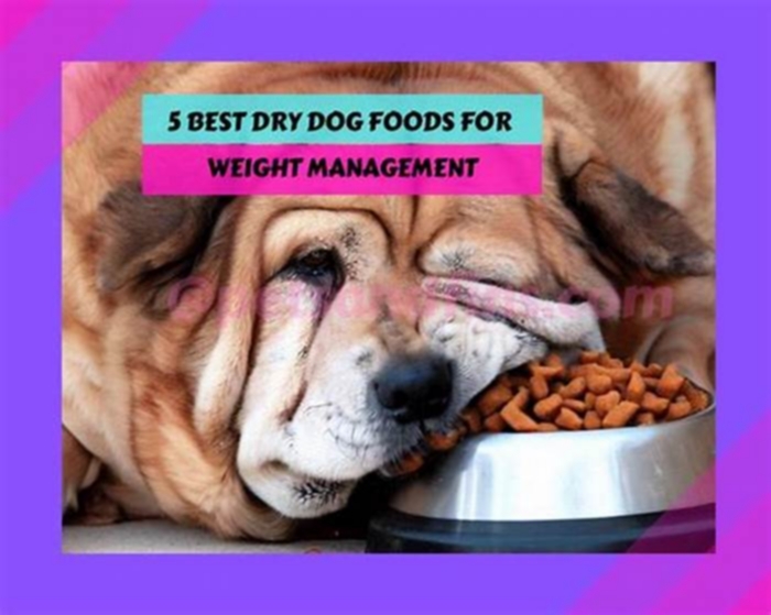 The Ultimate Guide to Dry Dog Food for Weight Management