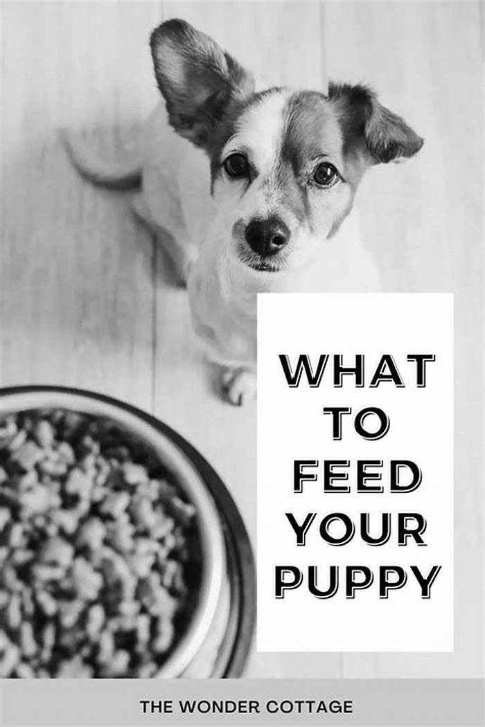 The Ultimate Puppy Nutrition Solution: Unlocking the Power of Holistic Puppy Food