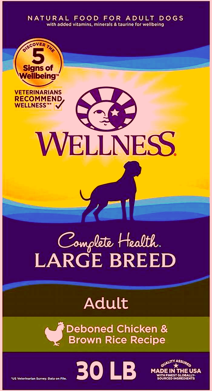 Top Breed Dog Food: Fueling Canine Wellness from the Inside Out