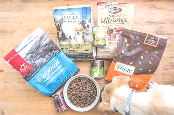 Top Breed Dog Food The Ultimate Choice for Pet Owners Who Care