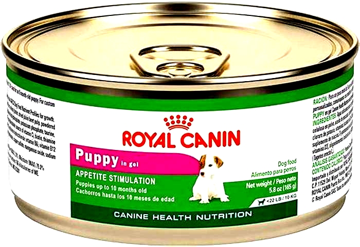 Top Breed Dog Food The Ultimate Fuel for Your Canine Companion