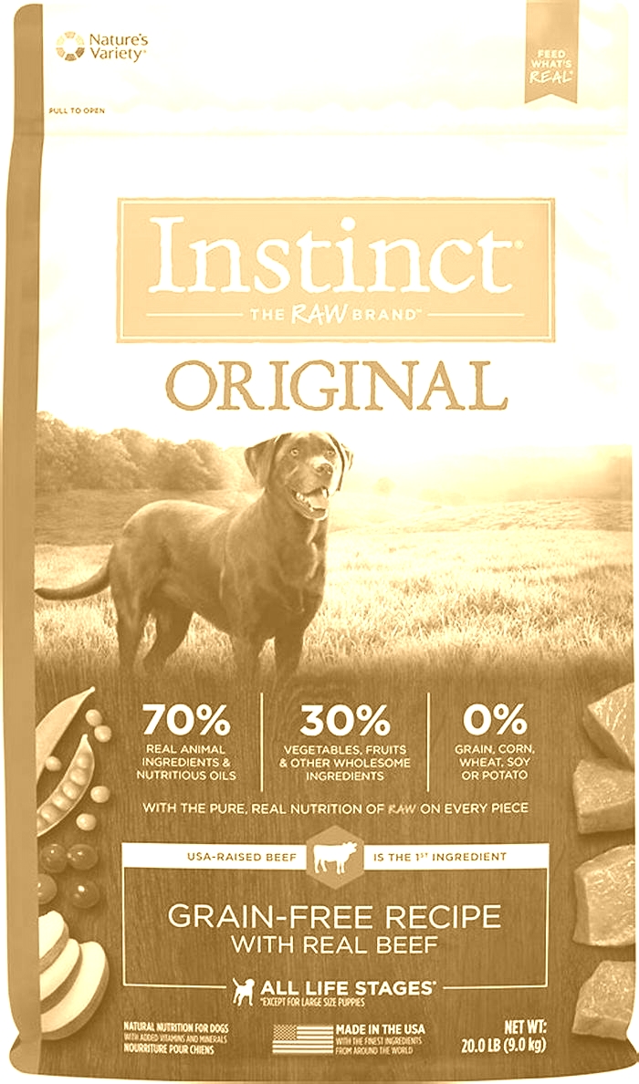 Top Dry Dog Food Options for Canine Weight Management