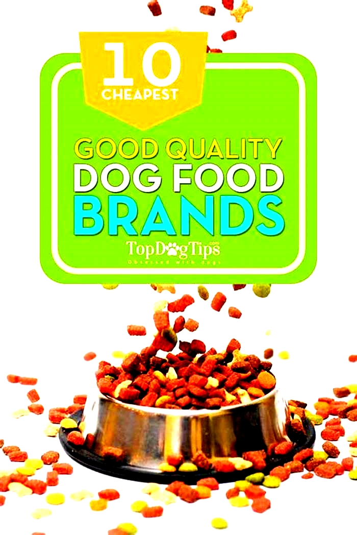 True Meals Dog Food The Ultimate Choice for Discerning Pet Owners