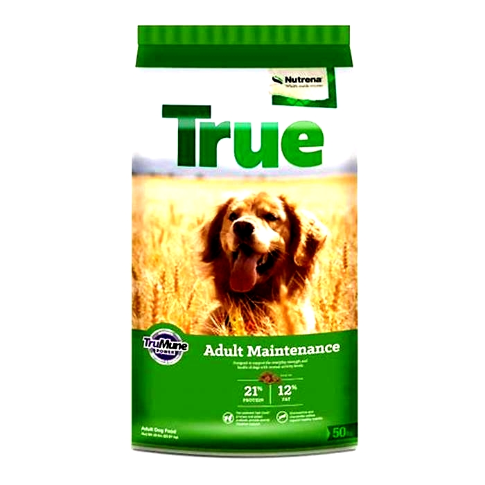 true adult maintenance dog food