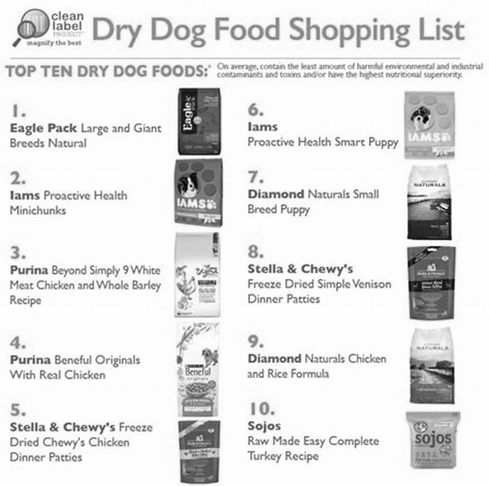 Uncovering the Top Dry Dog Food Options for Supporting Weight Loss