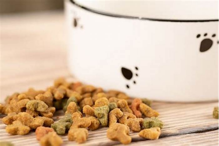 Understanding How Dry Dog Food Can Play a Vital Role in Your Dog's Weight Loss Journey