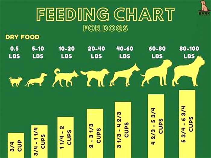 Understanding How Dry Dog Food Can Support Your Pup s Weight Loss Journey