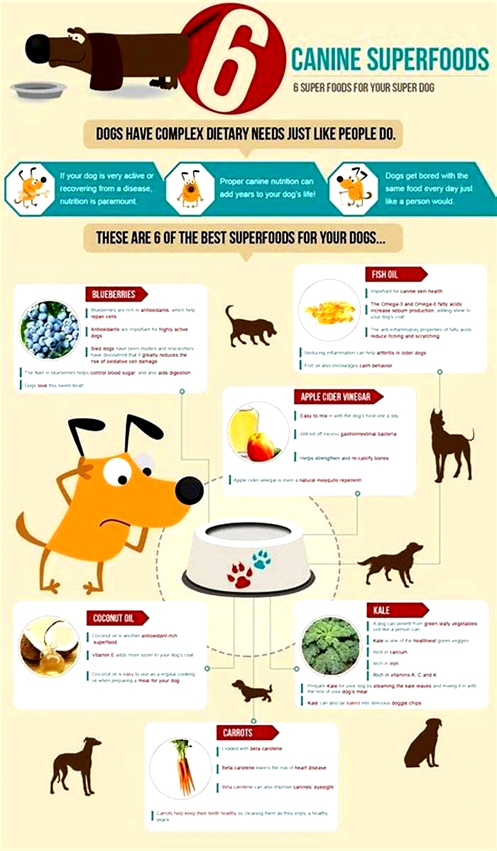 Understanding Top Breed Dog Food A Comprehensive Guide to Canine Nutrition