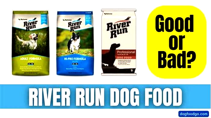 Unlocking the Potential of River Run Dog Food: What You Need to Know