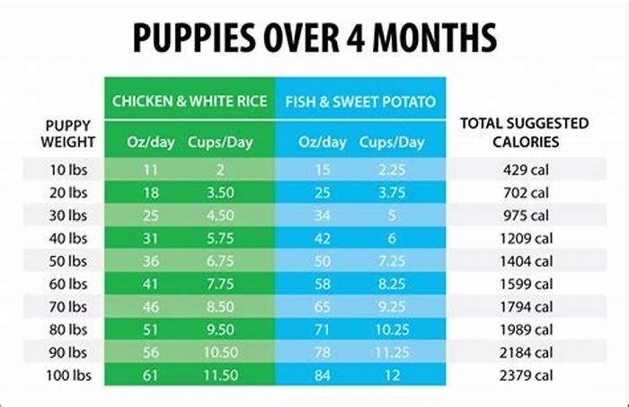 Unveiling the Secrets of Science Diet Puppy Nutrition