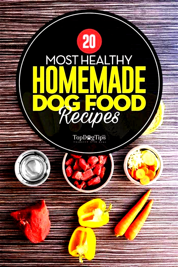 Whipping Up Healthy Meals for Your Dog Homemade Recipes for Weight Control