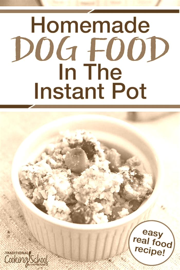 Whipping Up Healthy Recipes for Your Pup Homemade Dog Food for Weight Management