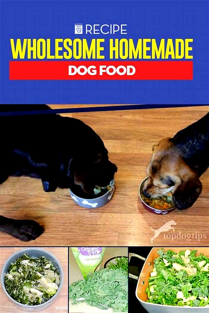 Wholesome and Homemade: Dog Food Recipes to Aid in Weight Loss