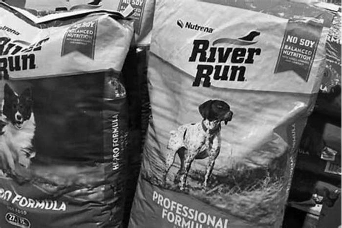 Why River Run Dog Food Is a Staple in Canine Health and Wellness