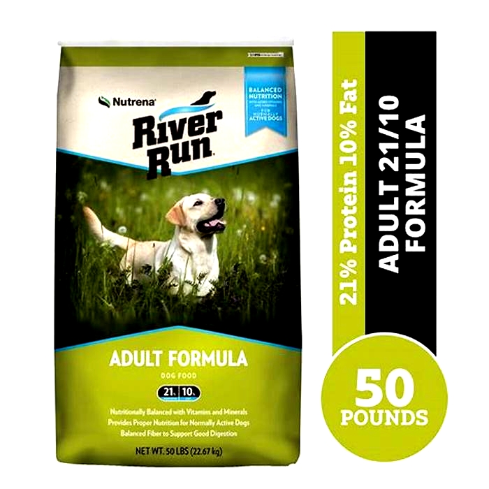 Why River Run Dog Food Is the Ultimate Choice for Your Canine Companion