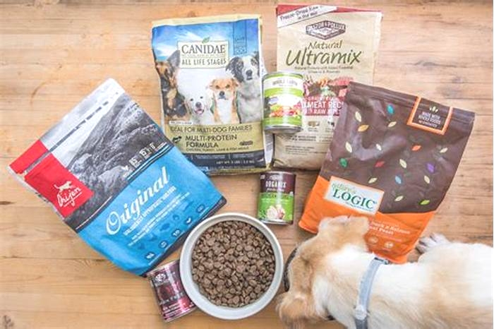 Why True Meals Dog Food Is the Ultimate Choice for Your Canine Companion